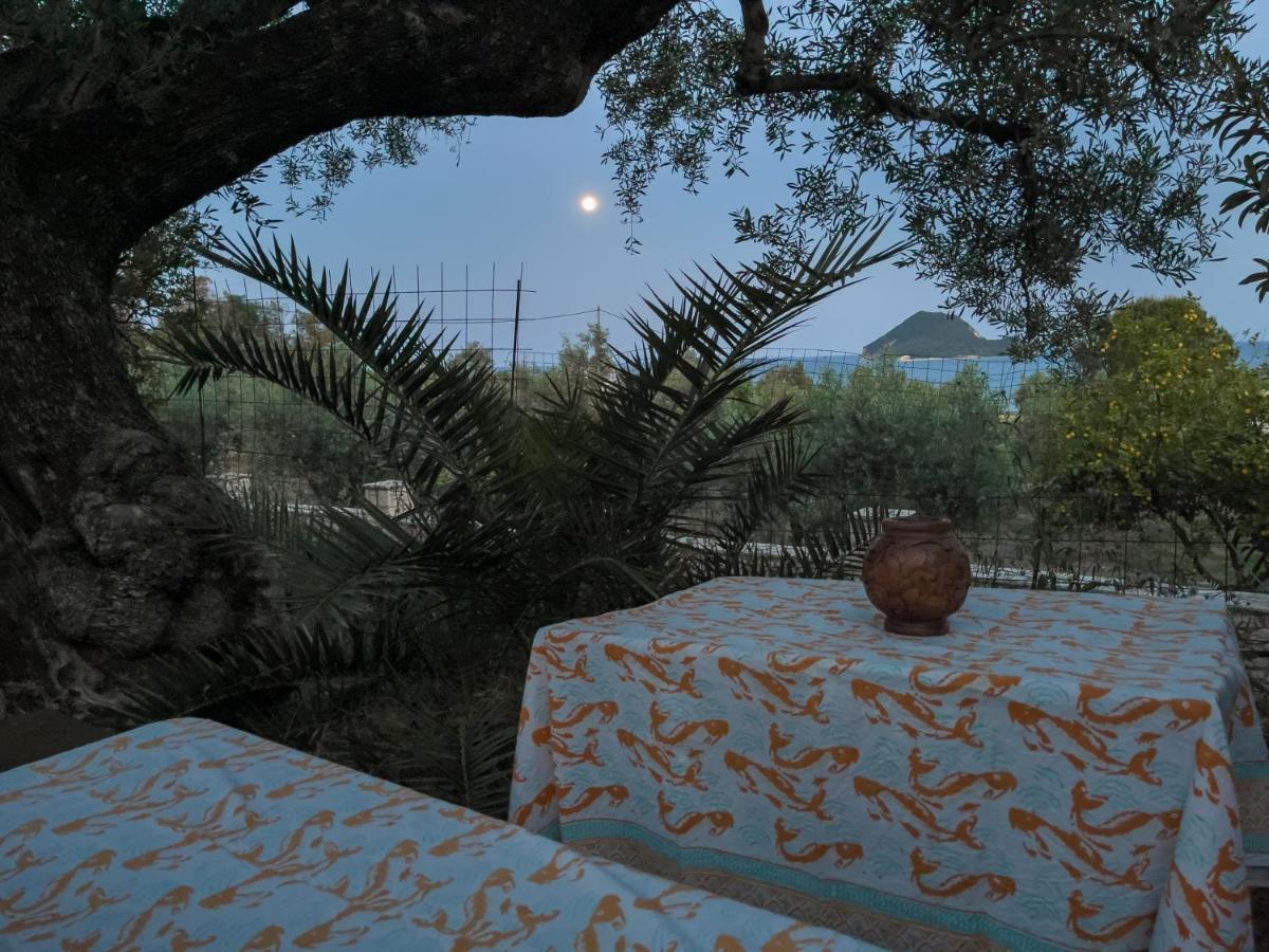 Villa Anta House By The Sea Lithakiá Kültér fotó