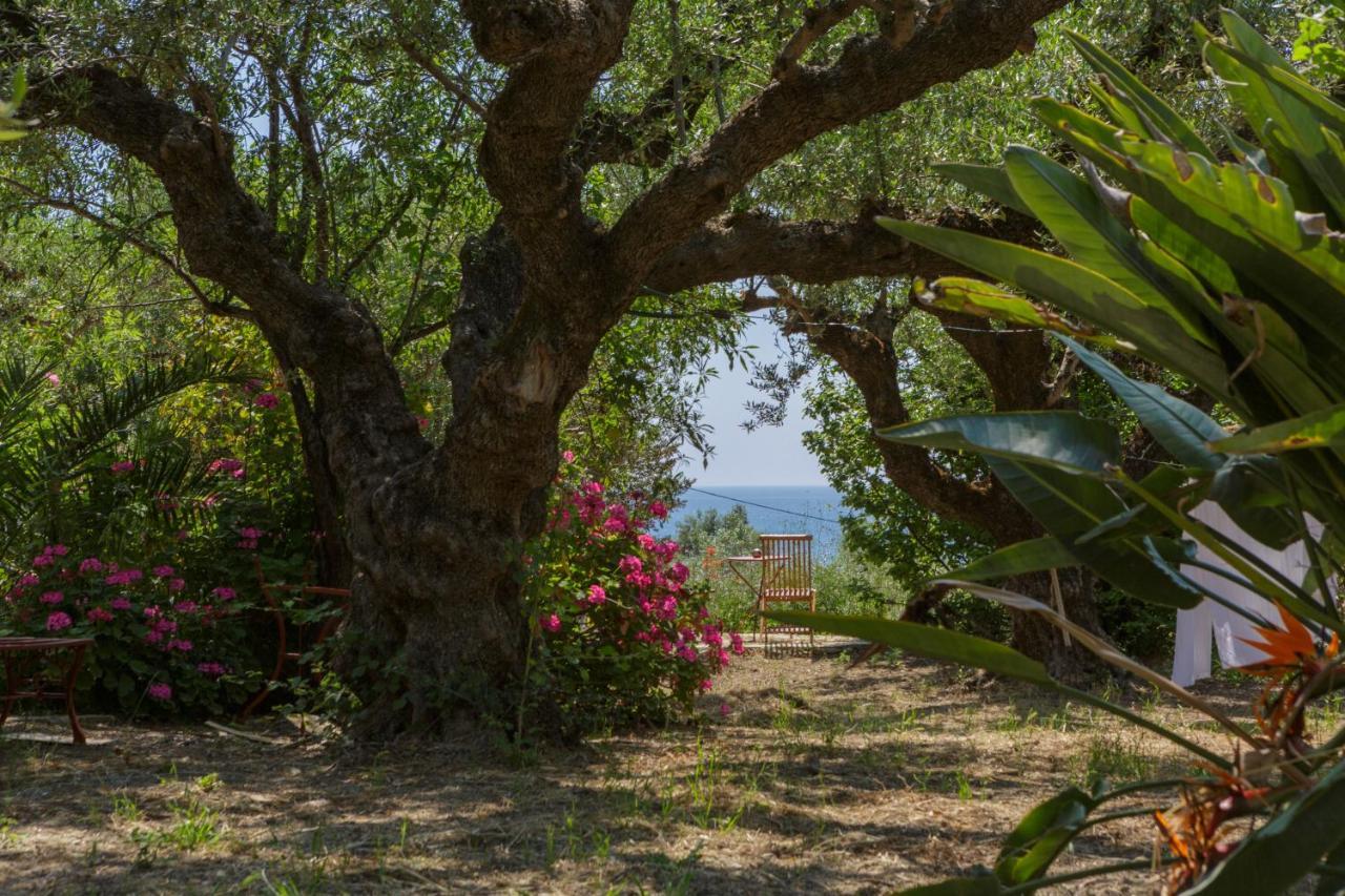 Villa Anta House By The Sea Lithakiá Kültér fotó