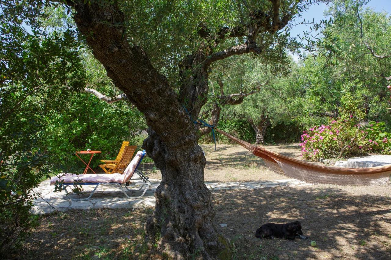Villa Anta House By The Sea Lithakiá Kültér fotó